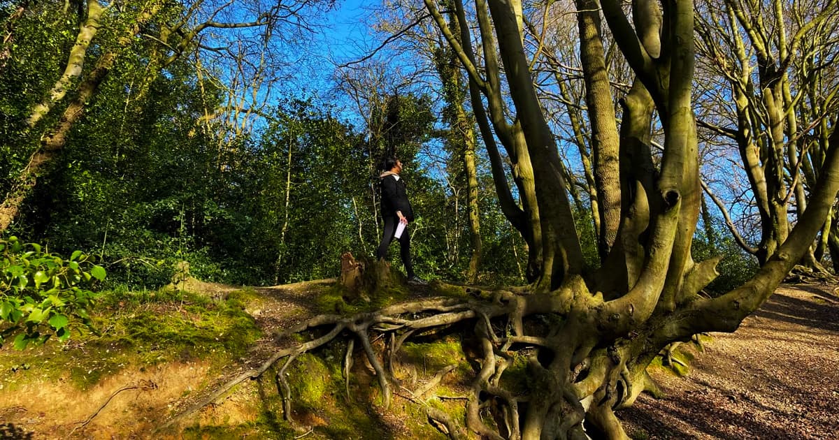 Jada Andrade standing on a moss-covered hill in a woodland area, surrounded by towering trees with exposed, twisting roots. She is dressed in black and holding a notebook, gazing into the distance. Sunlight filters through the trees, casting long shadows on the forest floor.