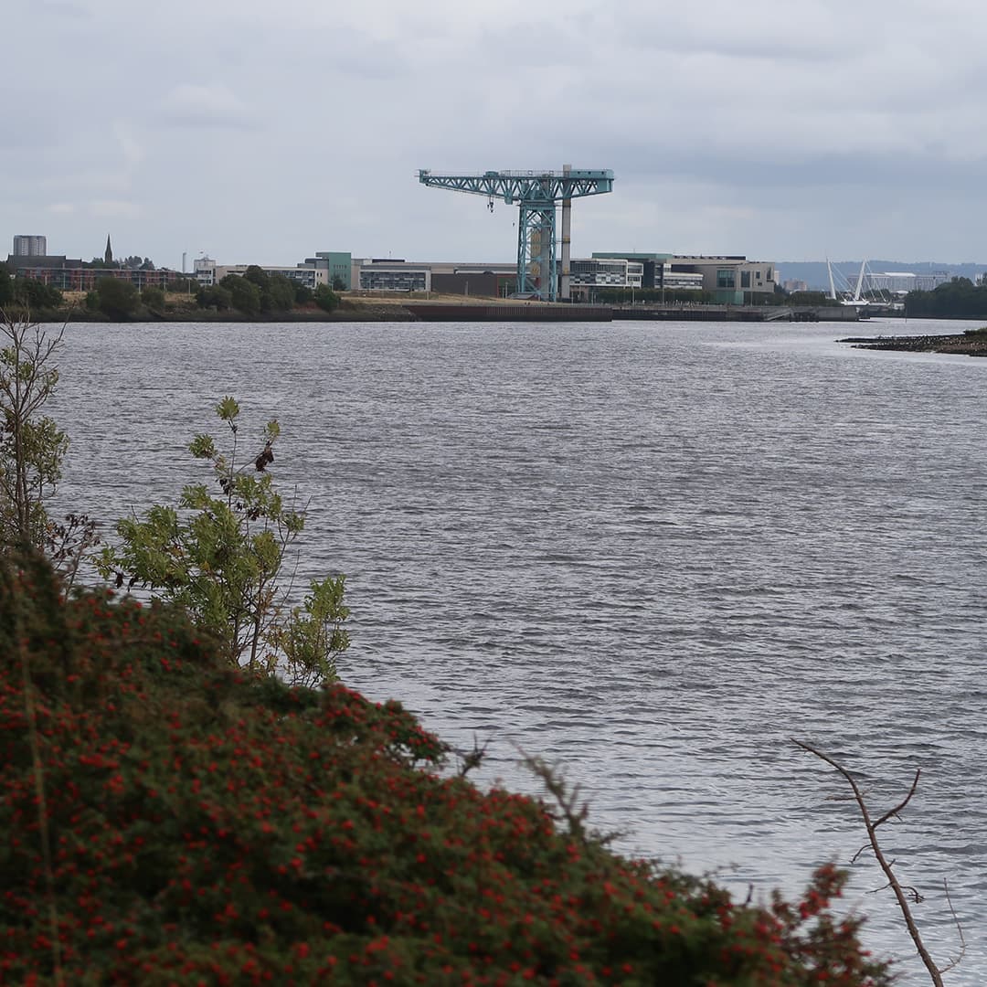 A view of the River Clyde in Glasgow, Scotland, taken near the Golden Jubilee Hotel during Dyalog '24. In the foreground, green shrubs with small red berries frame the bottom of the image. The river stretches across the scene with a slightly rippled surface. On the opposite bank, an industrial crane painted in shades of blue and green stands tall, surrounded by modern buildings. In the distance, a white bridge with cables is visible against the cloudy grey sky.